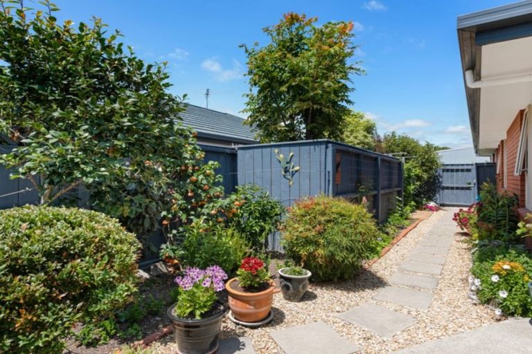 Photo of property in 12c Carvell Street, Blenheim, 7201