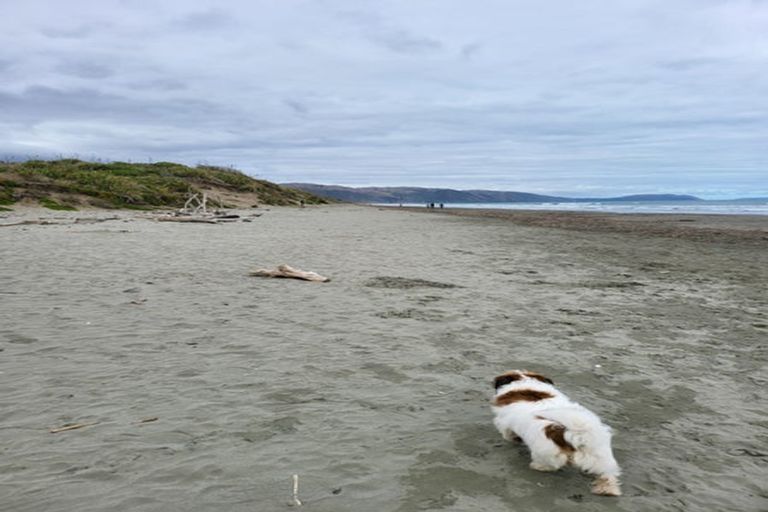 Photo of property in 3a Jeep Road, Raumati South, Paraparaumu, 5032