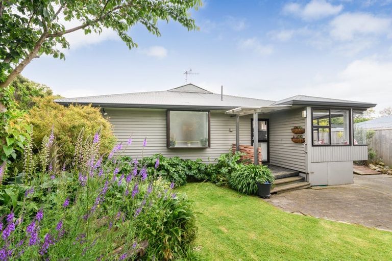Photo of property in 14 Snowdon Avenue, Terrace End, Palmerston North, 4410