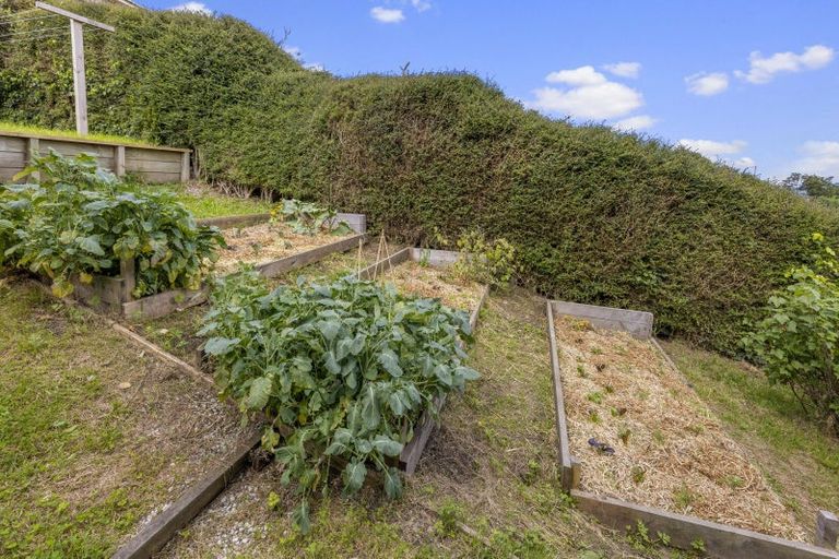 Photo of property in 6 Haig Street, Mornington, Dunedin, 9011