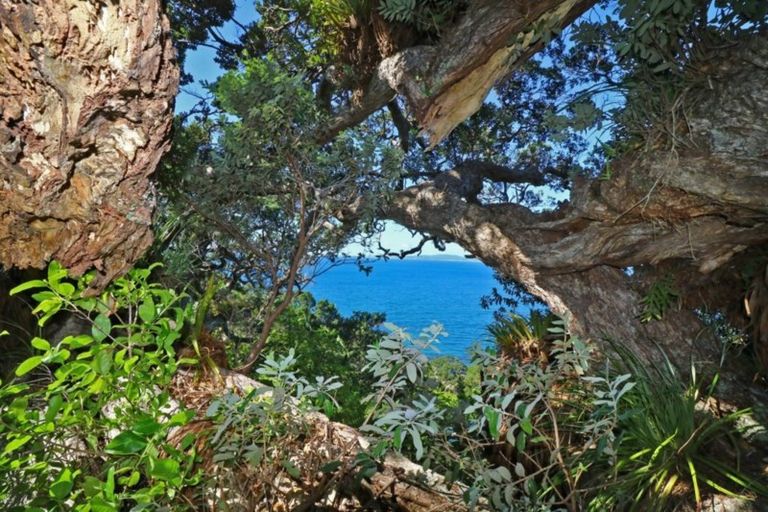 Photo of property in 27 Boulder Bay Drive, Tuateawa, Coromandel, 3583