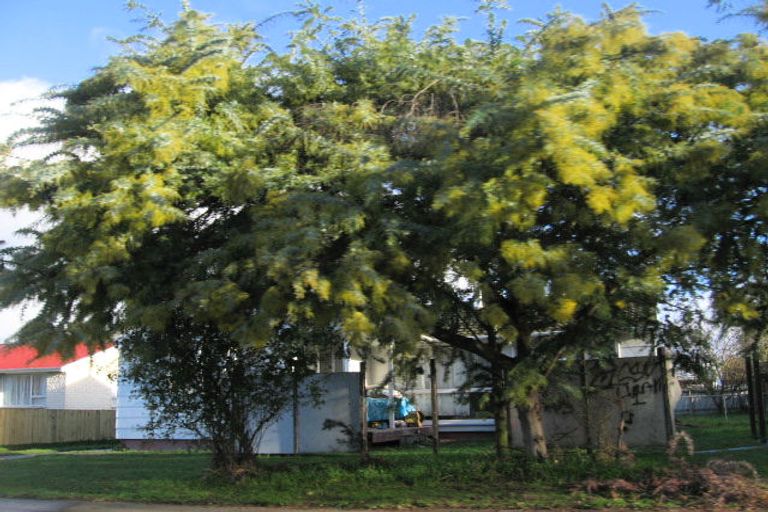 Photo of property in 17 Livingstone Road, Flaxmere, Hastings, 4120