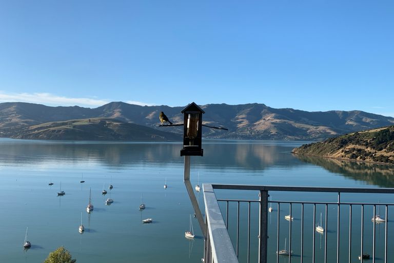 Photo of property in 176 Wainui Main Road, French Farm, 7582