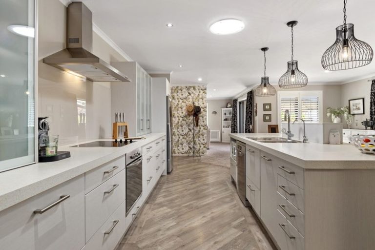 Photo of property in 21 Edwin Grove, Bethlehem, Tauranga, 3110