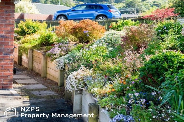 Photo of property in 13 Campbells Road, Pine Hill, Dunedin, 9010