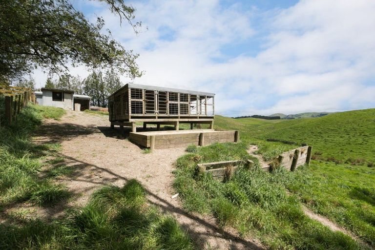 Photo of property in 209 Pattison Road, Akina, Hastings, 4122