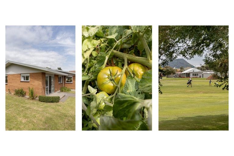 Photo of property in 34 Shelley Street, Otumoetai, Tauranga, 3110