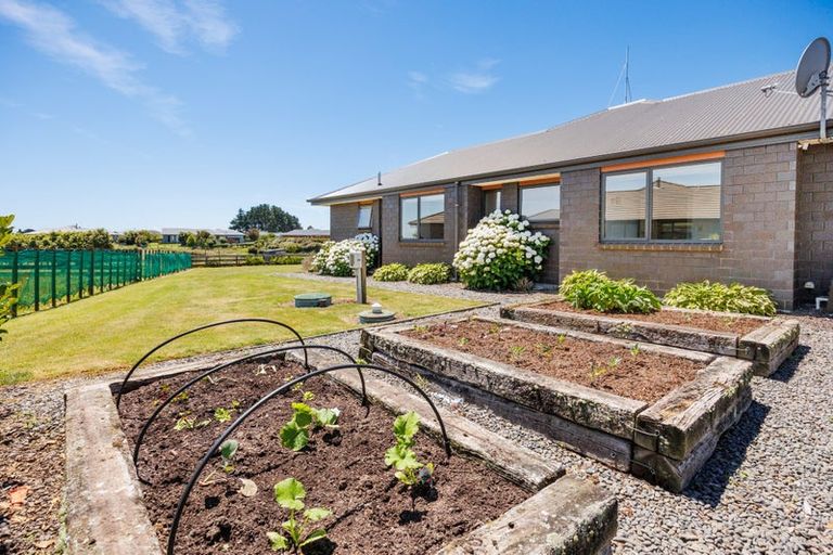 Photo of property in 115 Mount Taylor Drive, Feilding, 4775