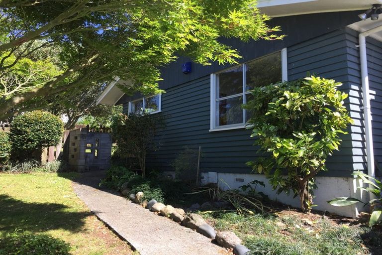 Photo of property in 30 Kowhai Street, Hamilton Lake, Hamilton, 3204