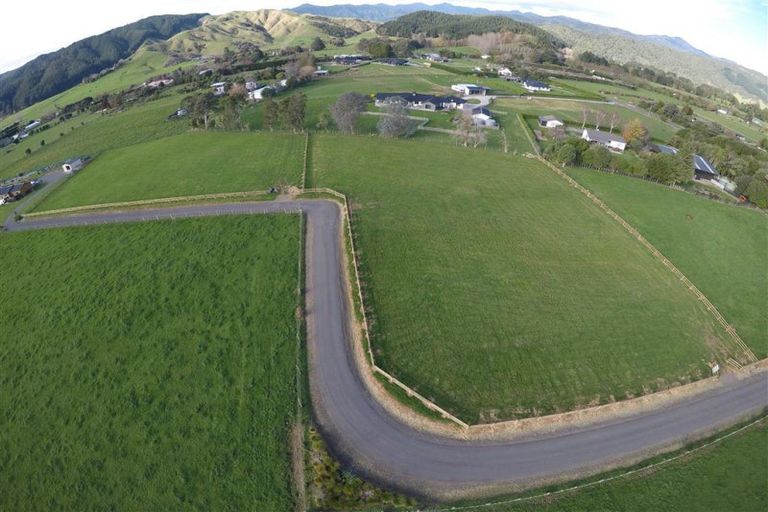 Photo of property in 431 Tararua Road, Levin, 5571