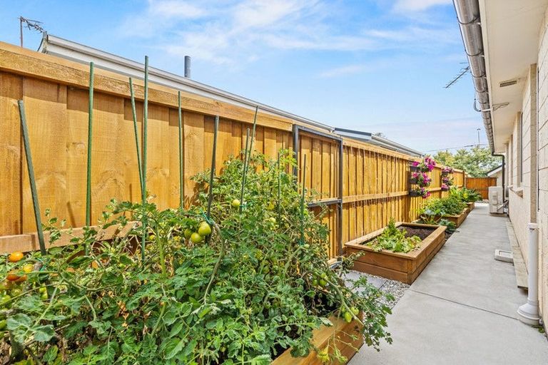 Photo of property in 165 Estuary Road, South New Brighton, Christchurch, 8062