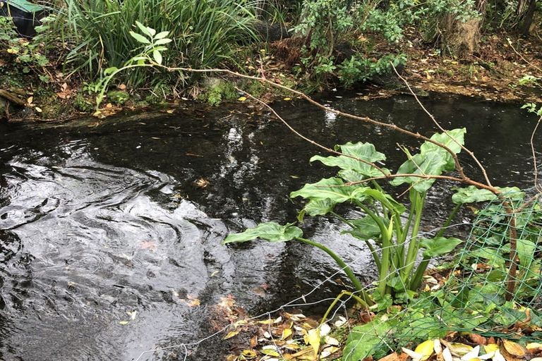 Photo of property in 21 Glandovey Road, Fendalton, Christchurch, 8052