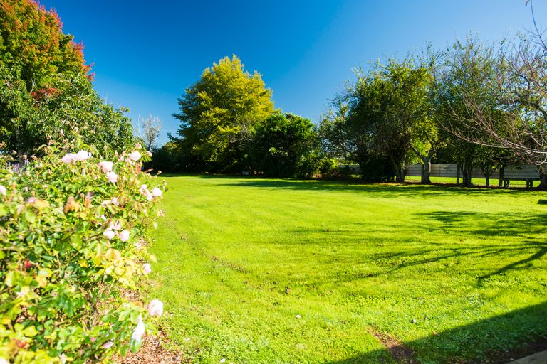 Photo of property in 850 Matawai Road, Ormond, Gisborne, 4071