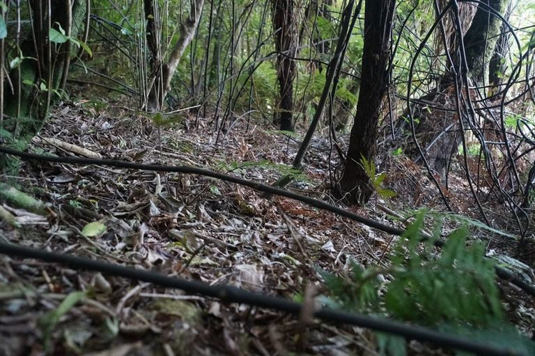 Photo of property in 5 Leith Crescent, Greymouth, 7805