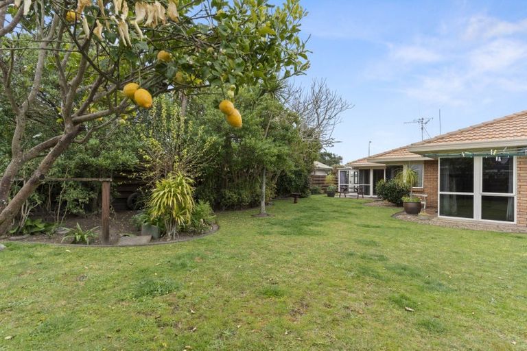 Photo of property in 178 Grenada Street, Mount Maunganui, 3116