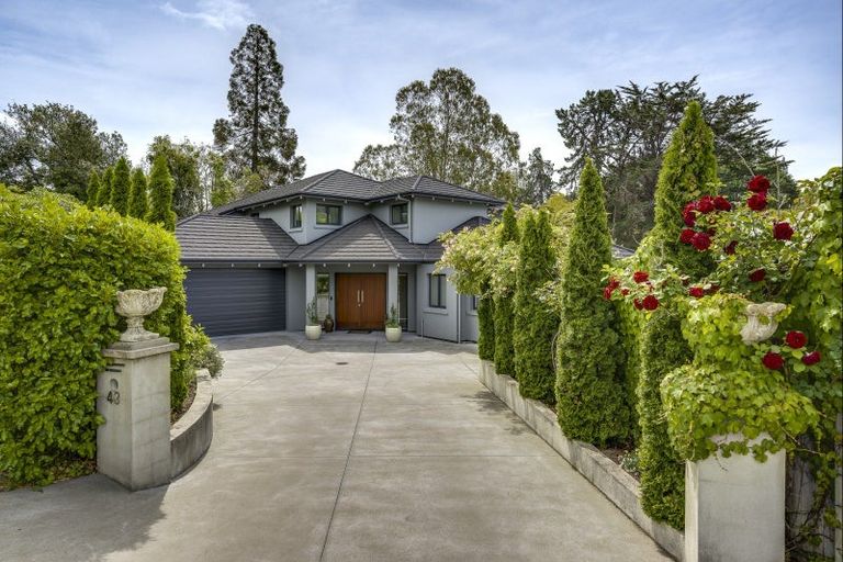 Photo of property in 43 Greenwood Road, Havelock North, 4130