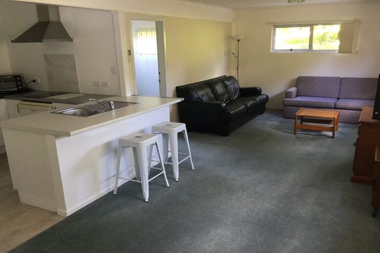 Photo of property in 80 Taipari Street, Maungatapu, Tauranga, 3112