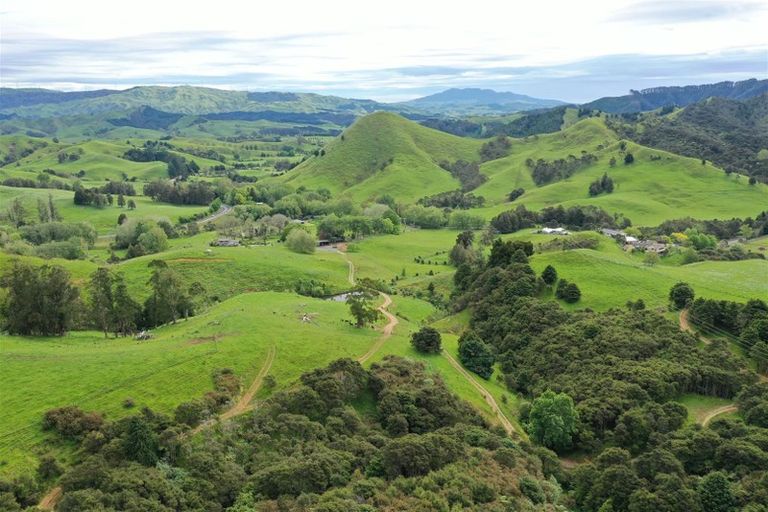 Photo of property in 40 Cogswell Road, Raglan, 3295