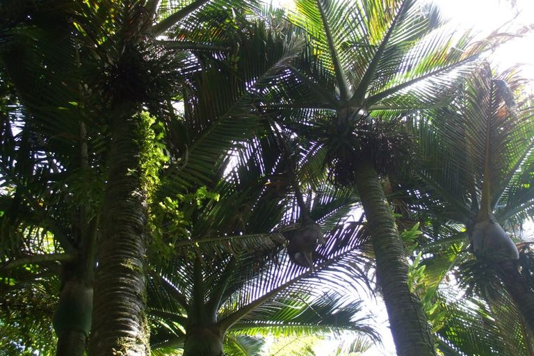 Photo of property in 61 Glasseye Drive, Little Wanganui, Karamea, 7893