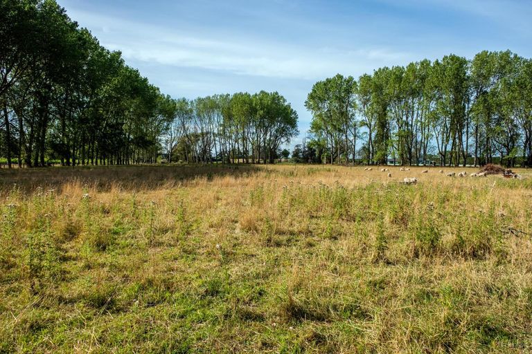 Photo of property in 116 Manchesters Road, Waimate, 7980