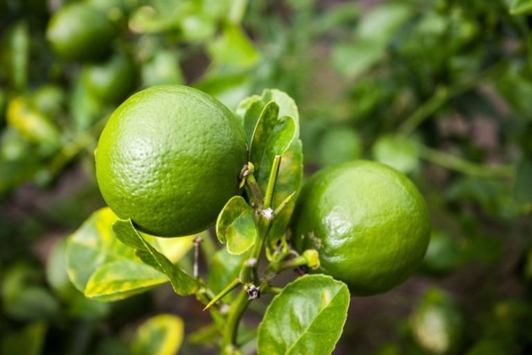 Photo of property in 35c James Street, Whakatane, 3120