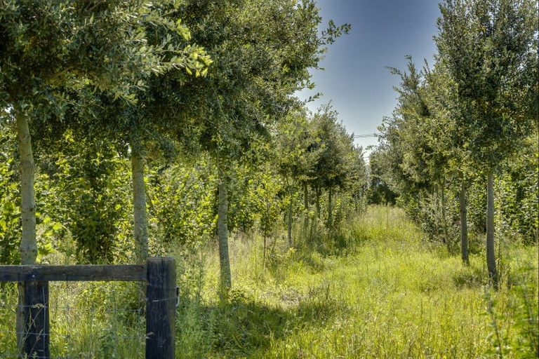 Photo of property in 1778 Pakowhai Road, Pakowhai, Napier, 4183