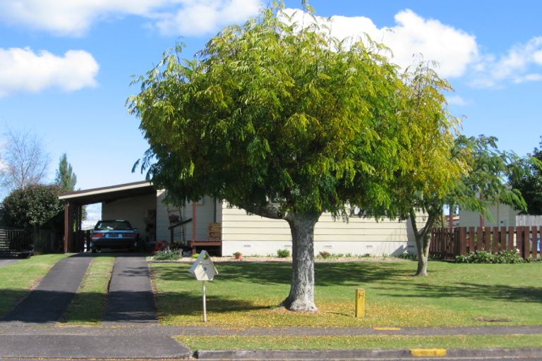 Photo of property in 9 Miro Place, Putaruru, 3411