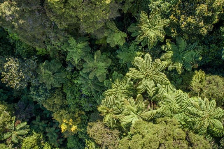 Photo of property in 127 Wilson Road, Hunua, Papakura, 2583