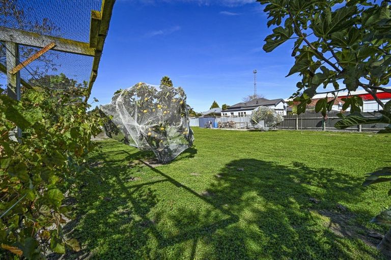 Photo of property in 301b Frederick Street, Mahora, Hastings, 4120