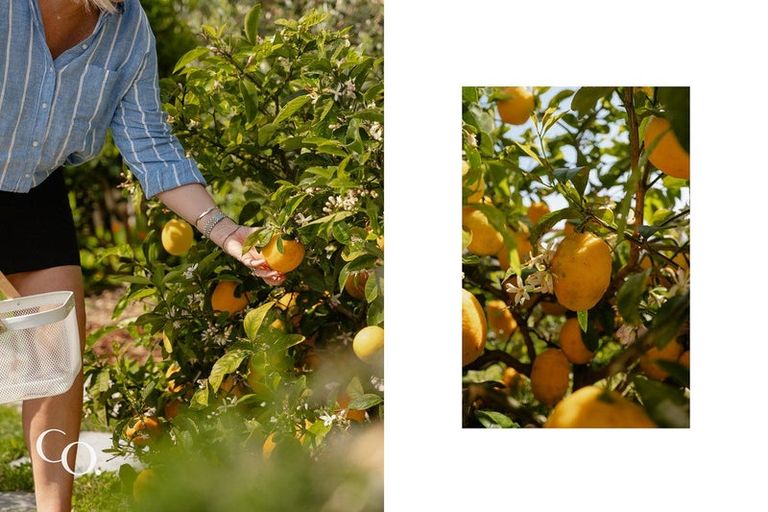 Photo of property in 4 Aquavue Way, Bellevue, Tauranga, 3110