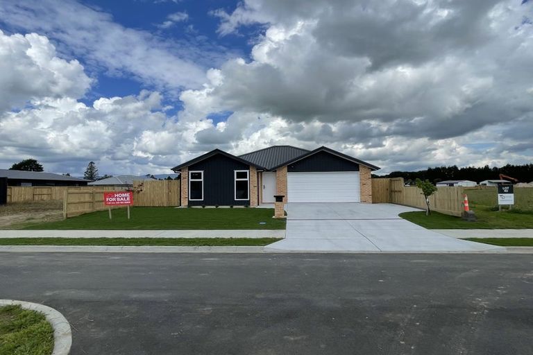 Photo of property in 25 Buxton Crescent, Matamata, 3400