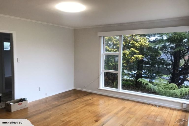 Photo of property in 44 Selwyn Crescent, Forrest Hill, Auckland, 0620