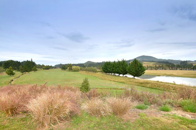 Photo of property in 17 Wavy Knowes Drive, Waldronville, Dunedin, 9018