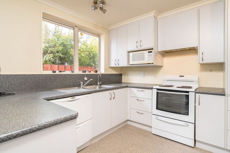 Photo of property in 79b Oxford Street, South Dunedin, Dunedin, 9012