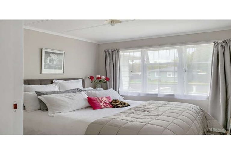 Photo of property in 9 Collingwood Street, Levin, 5510