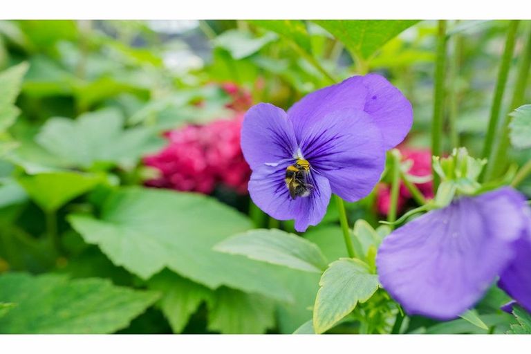 Photo of property in 56 Leith Street, Windsor, Invercargill, 9810