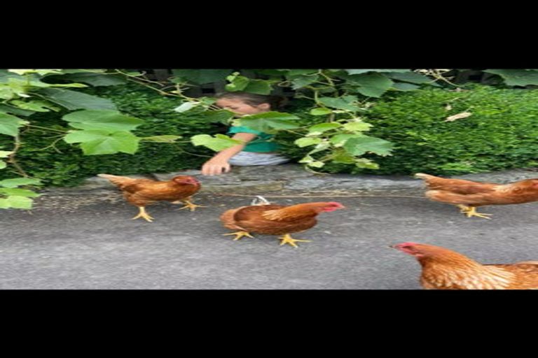 Photo of property in 33 Selbourne Avenue, Richmond, 7020