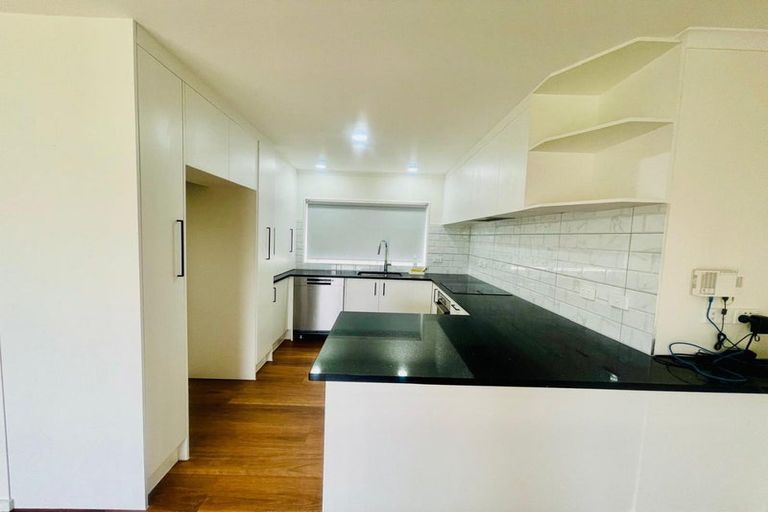 Photo of property in 25a Wairakei Street, Greenlane, Auckland, 1051