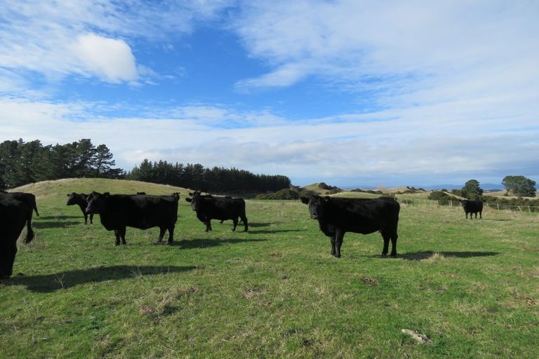 Photo of property in 507 Apley Road, Puketapu, Napier, 4184