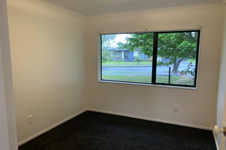 Photo of property in 78 Buscomb Avenue, Henderson, Auckland, 0610