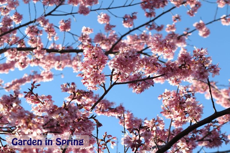 Photo of property in 151 Tenby Street, Wanaka, 9305