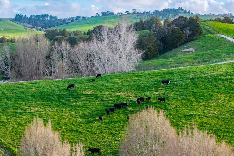 Photo of property in 272 Huarau Road, Whakapirau, Maungaturoto, 0583