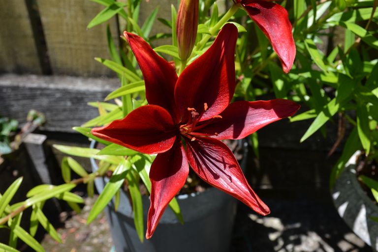 Photo of property in 71 River Road, Kawerau, 3127