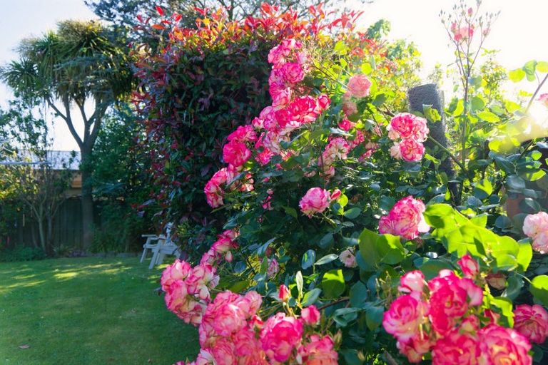 Photo of property in 283b Scarborough Street, Kaikoura, 7300