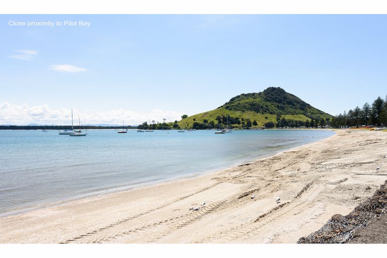 Photo of property in 36 Victoria Road, Mount Maunganui, 3116