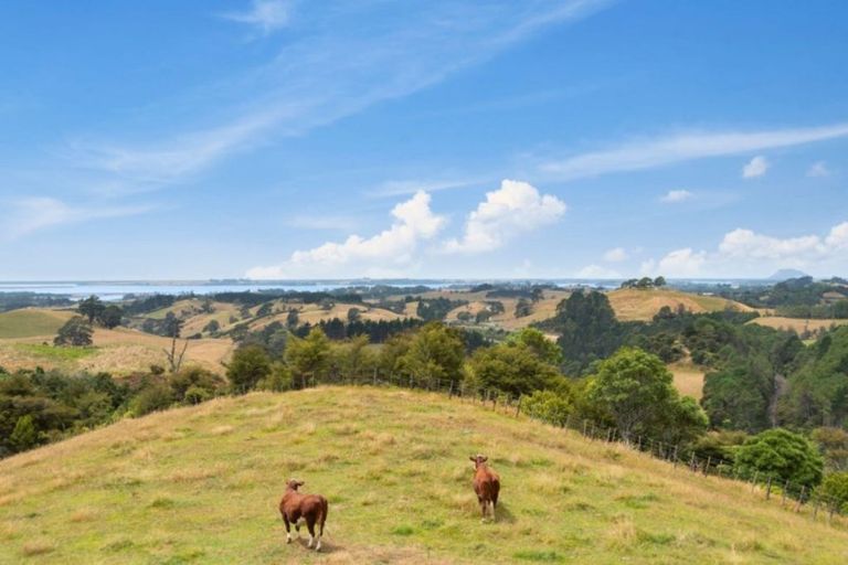 Photo of property in 725 Wright Road, Aongatete, Katikati, 3181