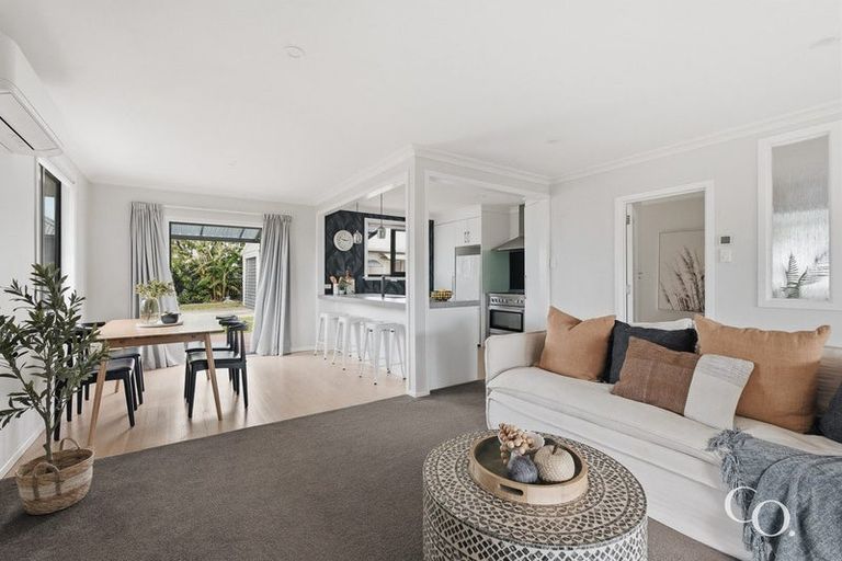 Photo of property in 13 Bristol Avenue, Brookfield, Tauranga, 3110