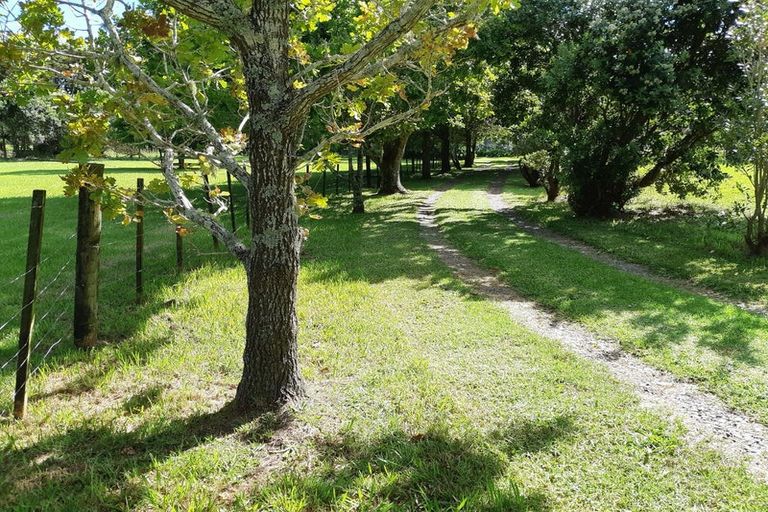 Photo of property in 323c Waikawau Beach Road, Waikawau, Coromandel, 3584