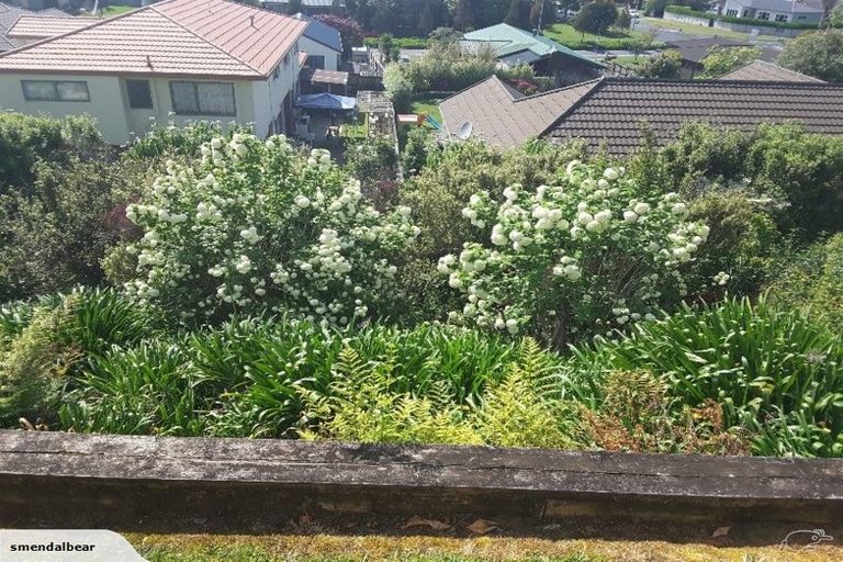 Photo of property in 38 Eclipse Rise, Flagstaff, Hamilton, 3210