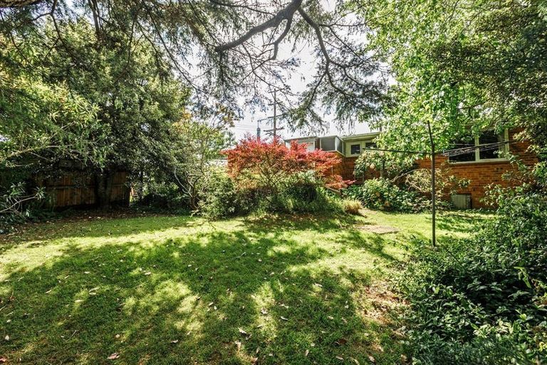 Photo of property in 156 Sunset Road, Unsworth Heights, Auckland, 0632